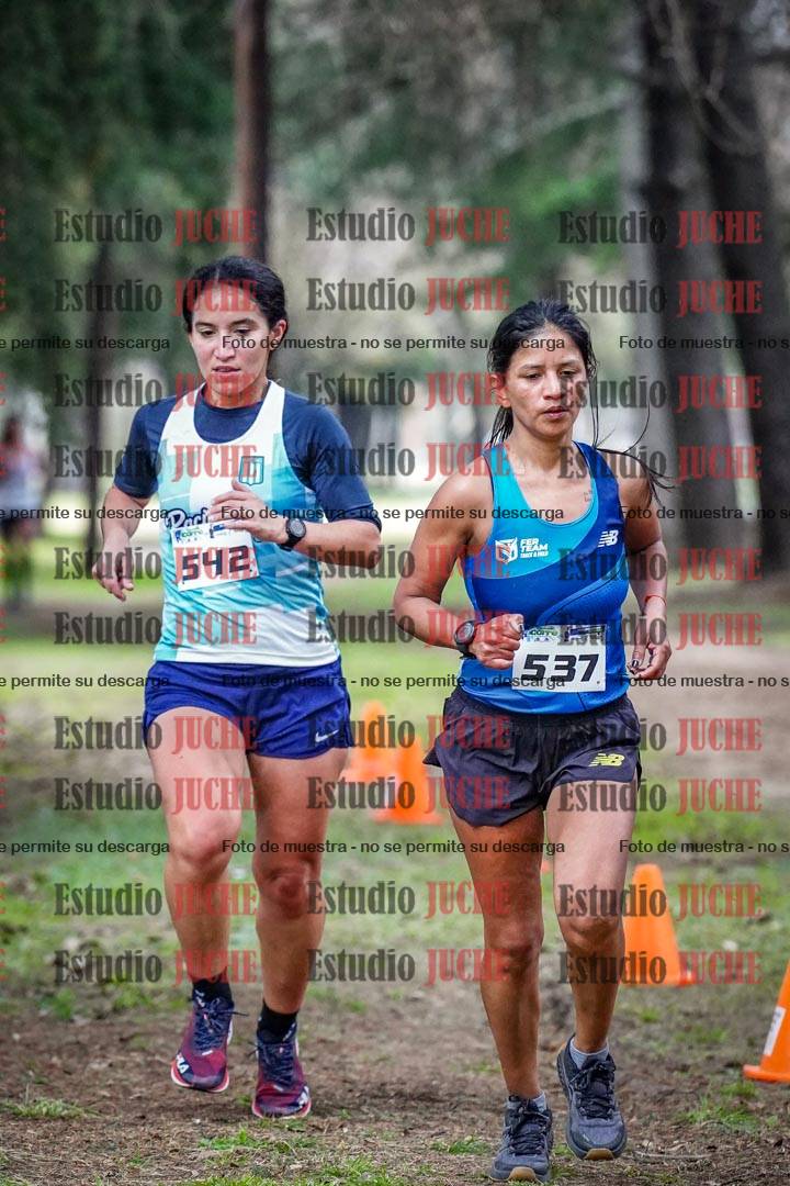 Fotos en el circuito