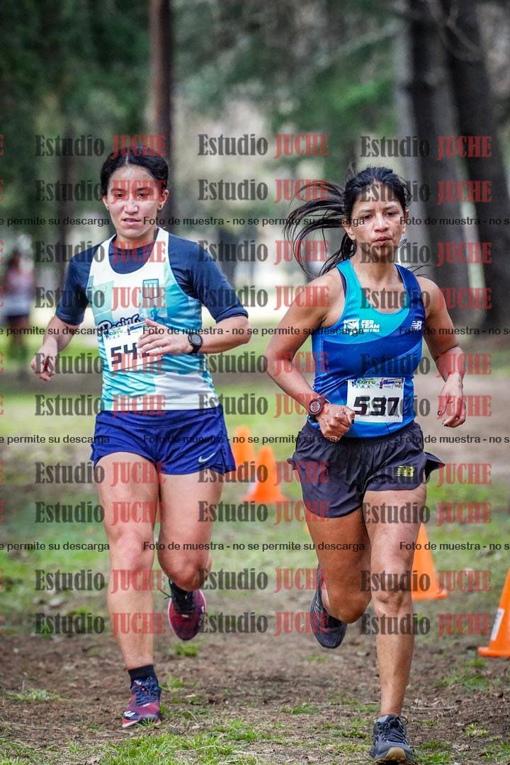 Fotos en el circuito