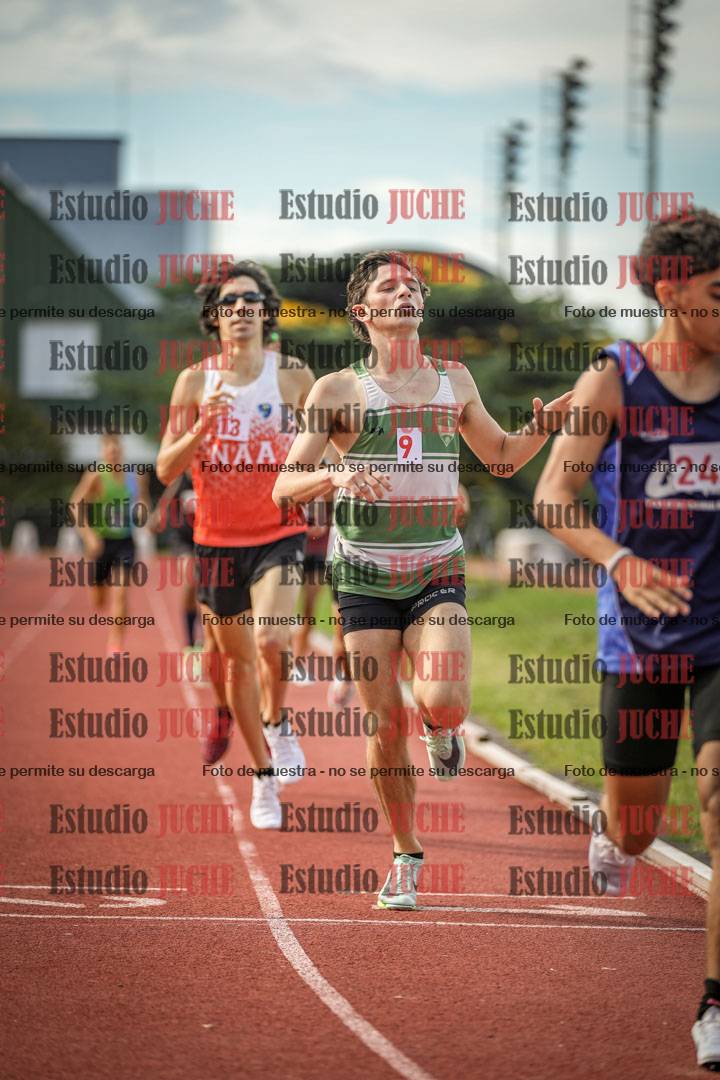 Fotos de los 800 m llanos de varones