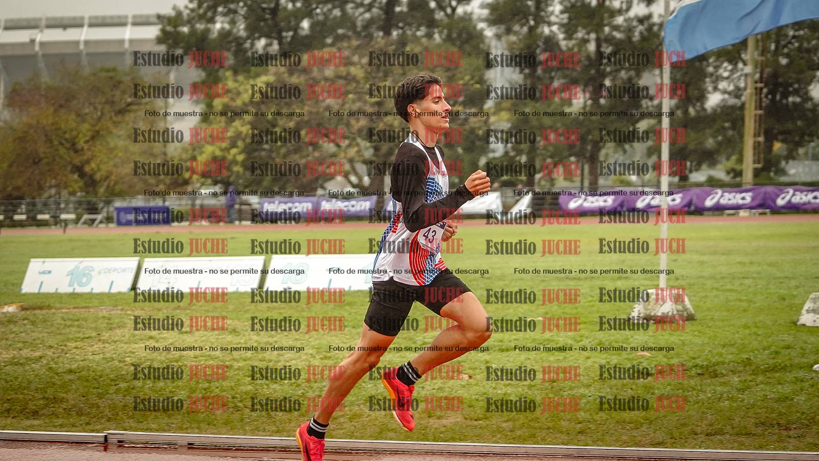 Fotos de los 1500 m llanos de varones