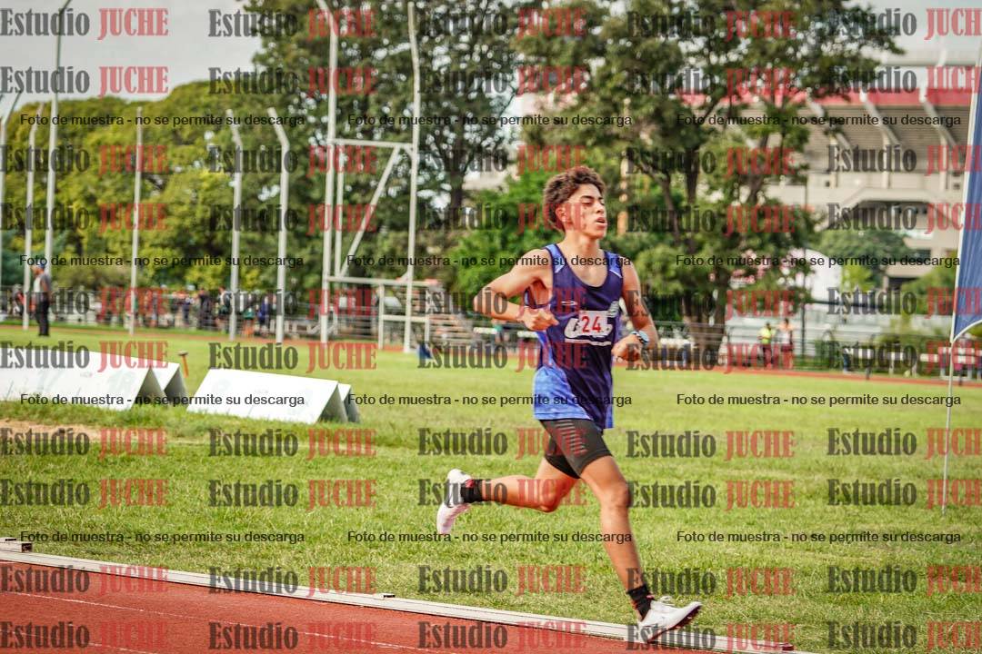 Fotos de los 800 m llanos de varones