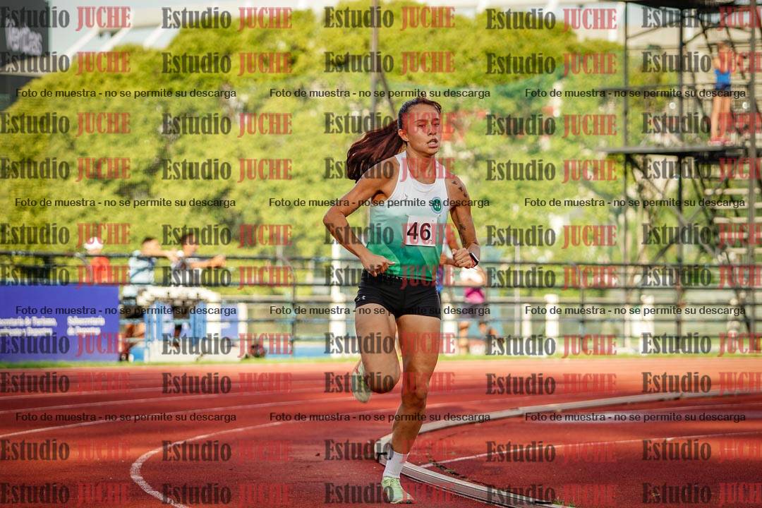 Fotos de los 1500 m llanos de mujeres