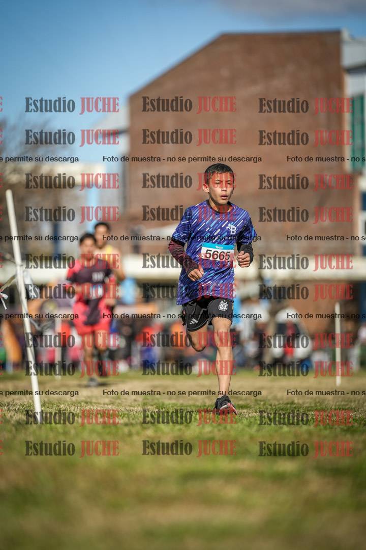 Fotos en el circuito