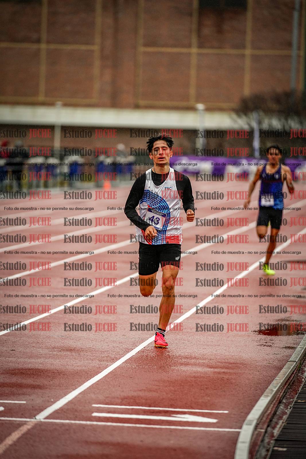 Fotos de los 1500 m llanos de varones