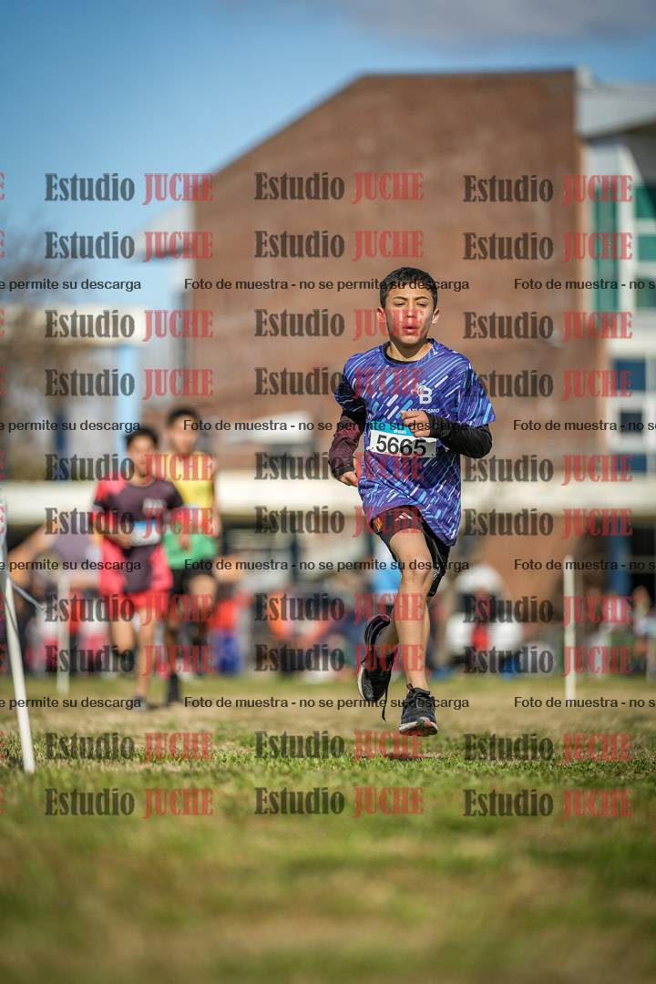 Fotos en el circuito