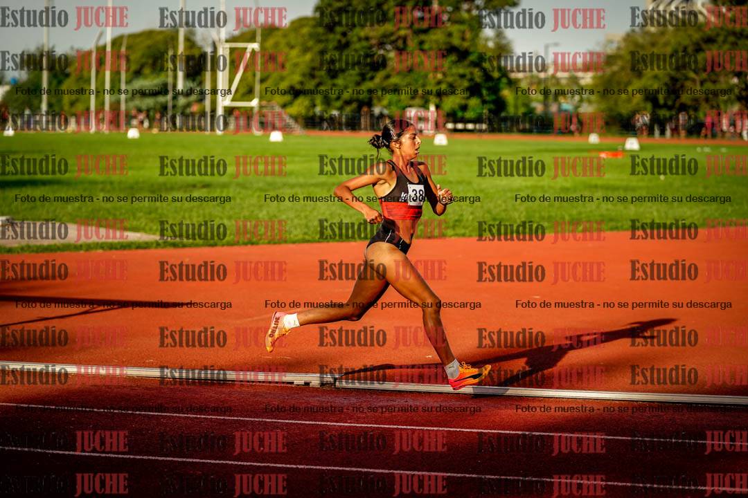Fotos de los 1500 m llanos de mujeres