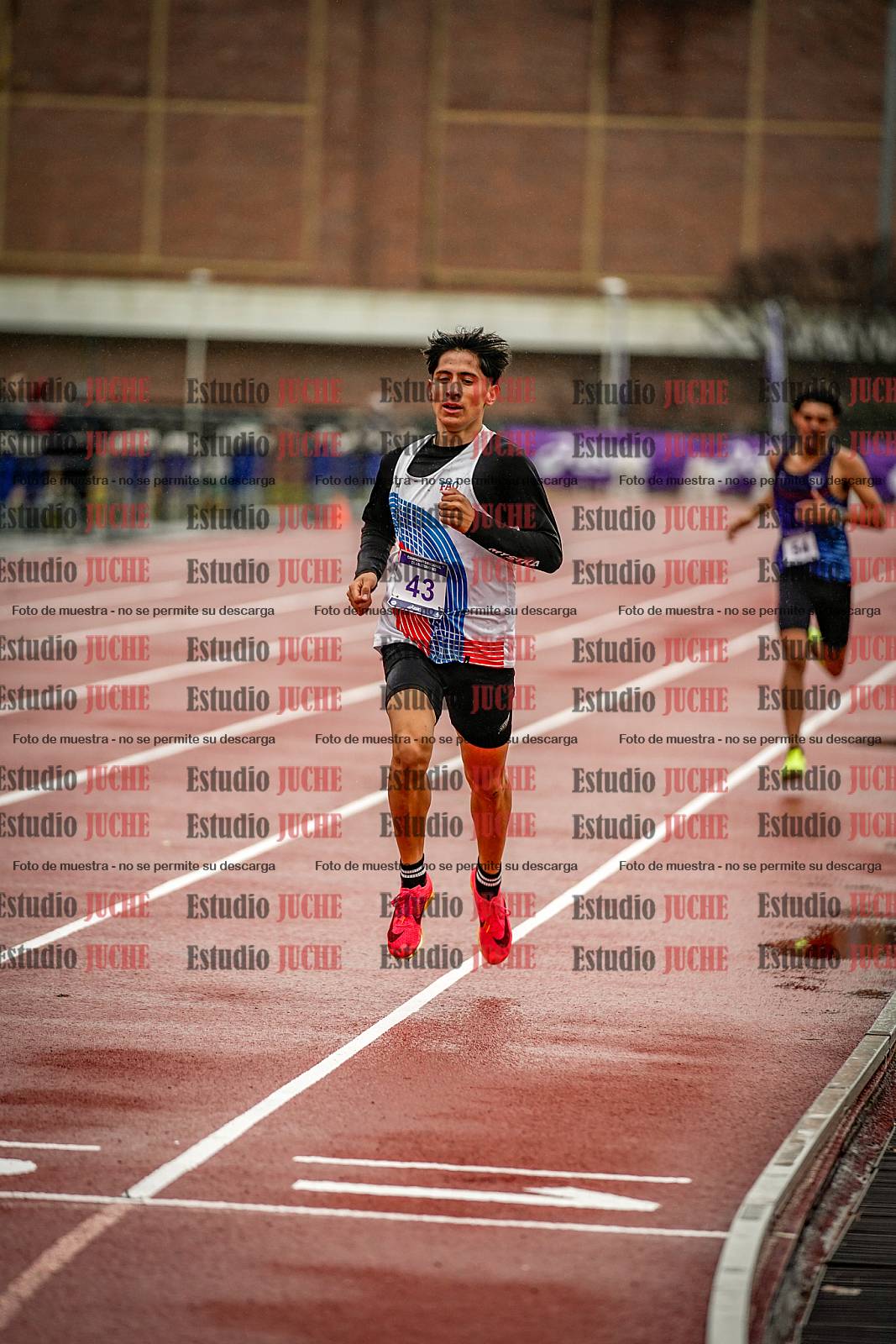 Fotos de los 1500 m llanos de varones