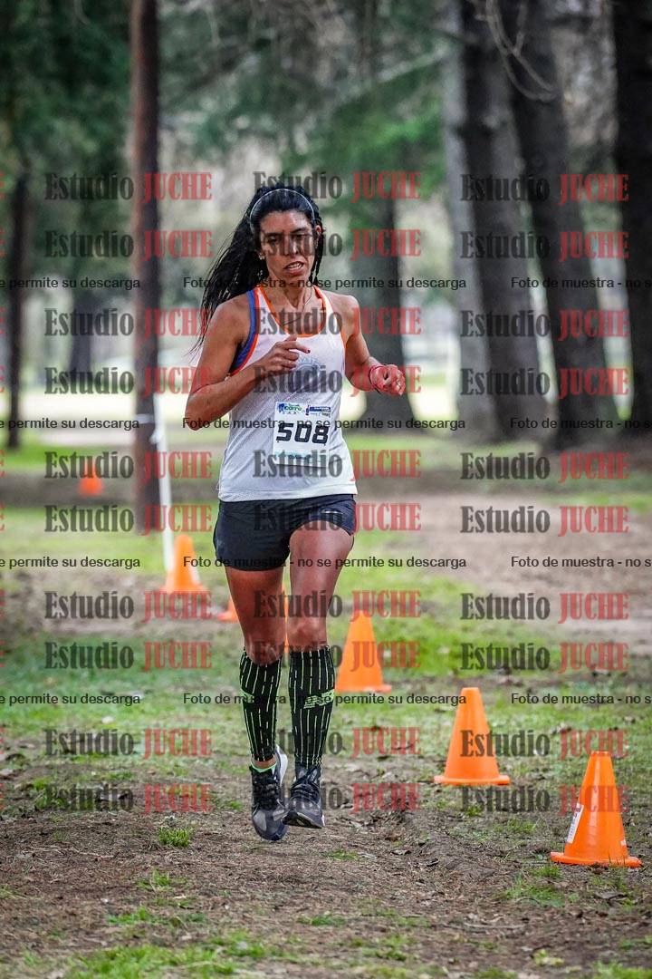 Fotos en el circuito