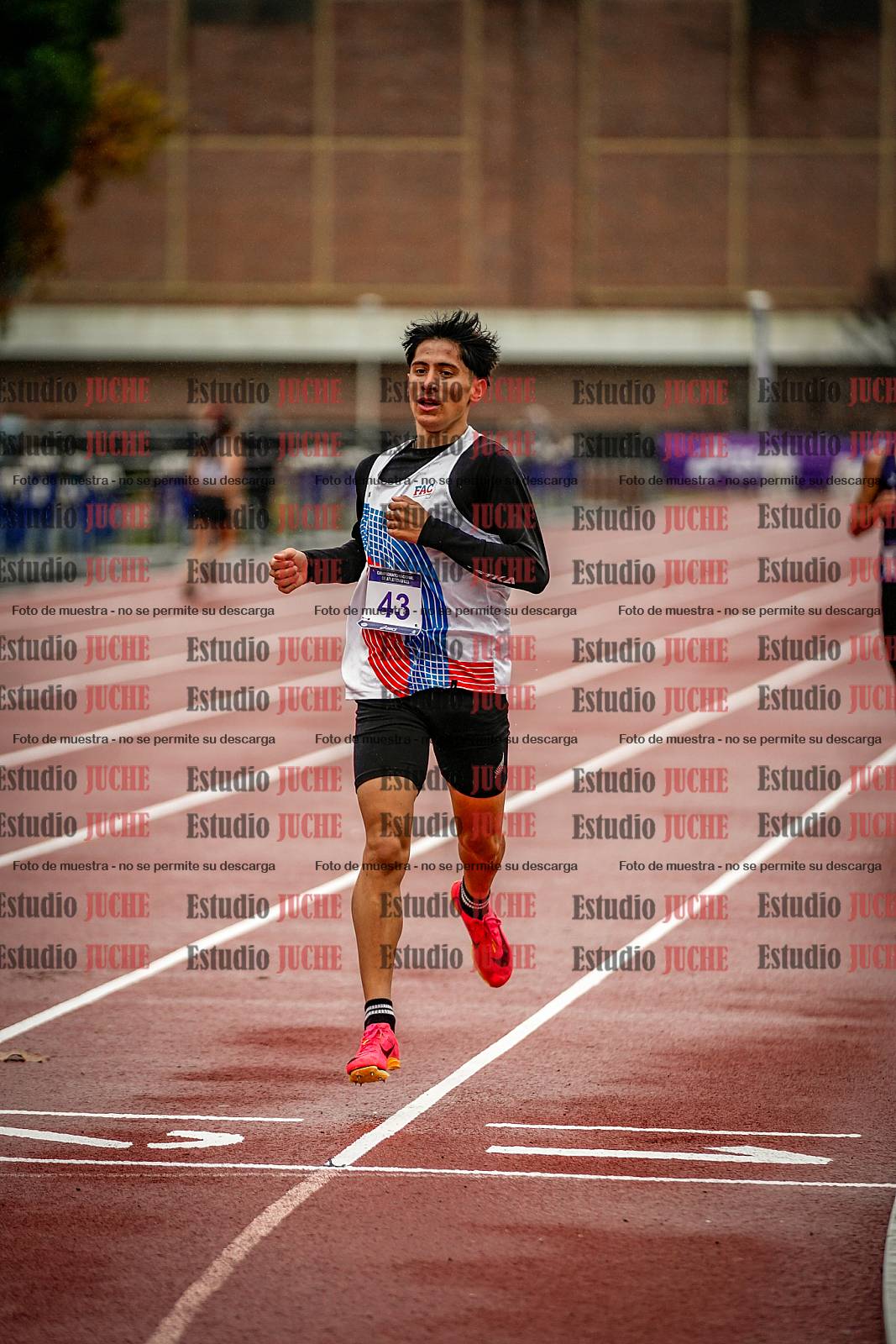Fotos de los 1500 m llanos de varones