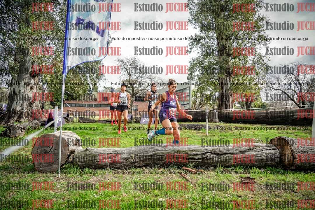 Fotos en el circuito