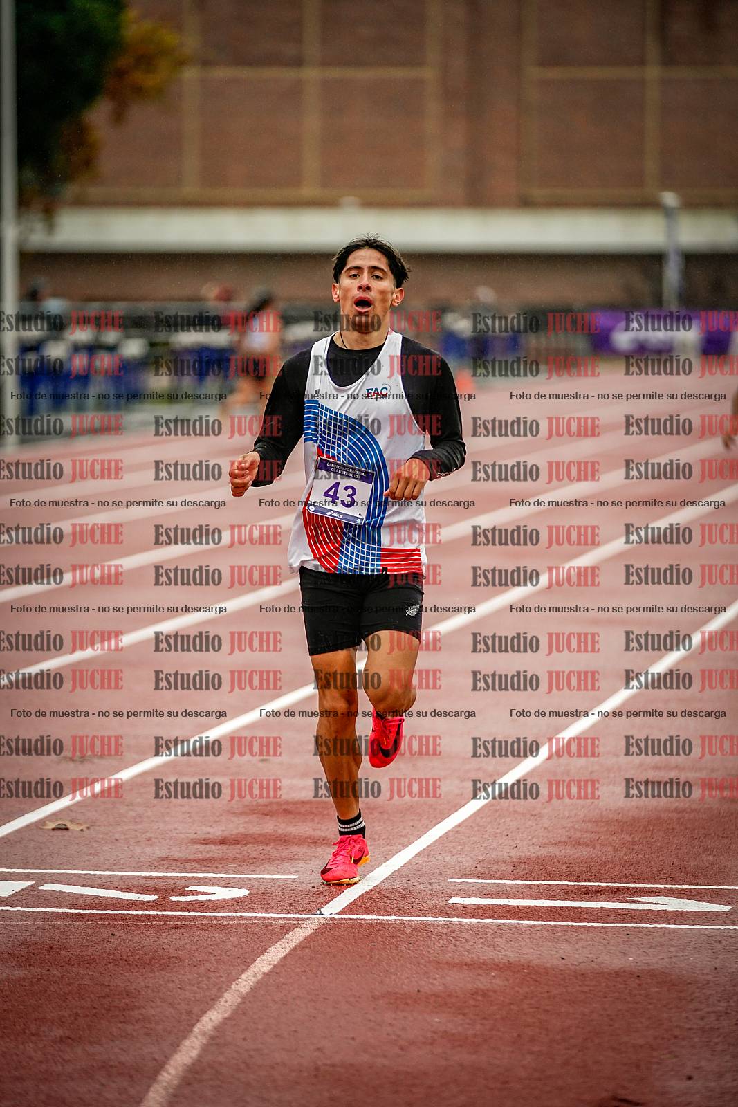 Fotos de los 1500 m llanos de varones