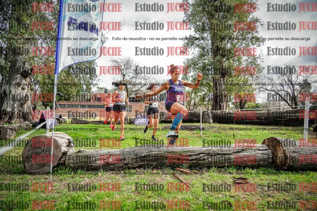 Fotos en el circuito