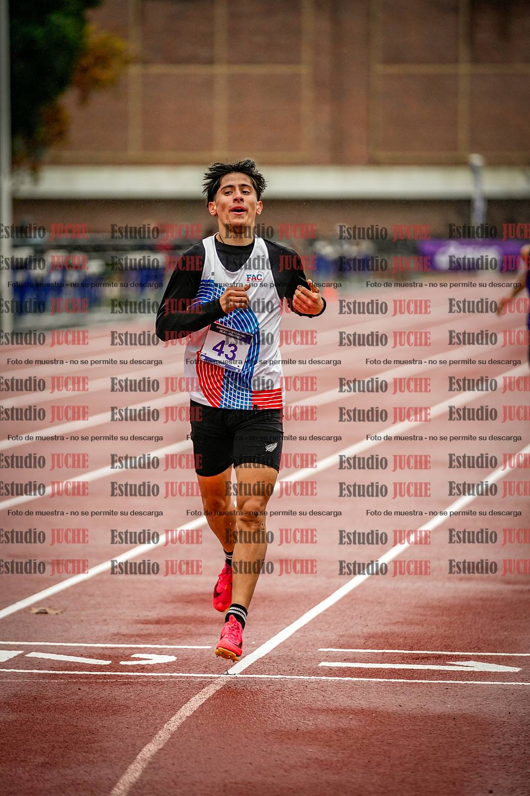 Fotos de los 1500 m llanos de varones