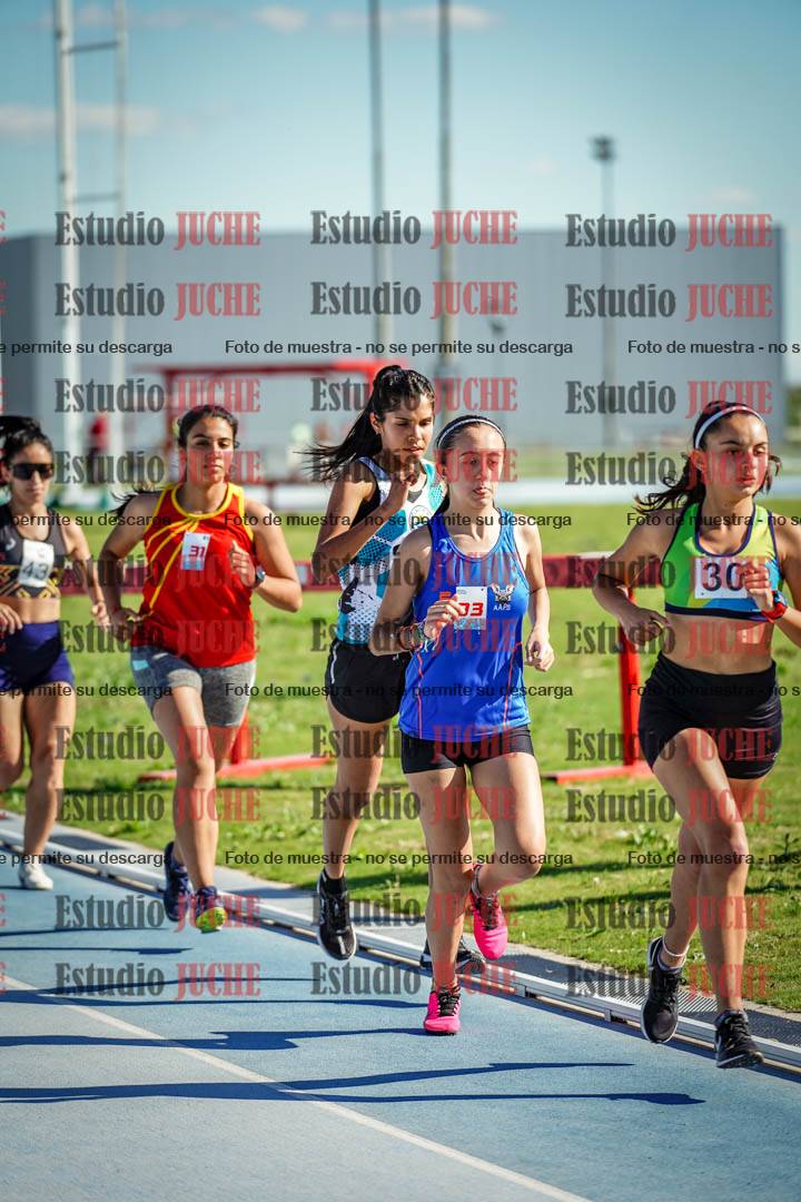 Fotos de los 1500 m llanos de mujeres