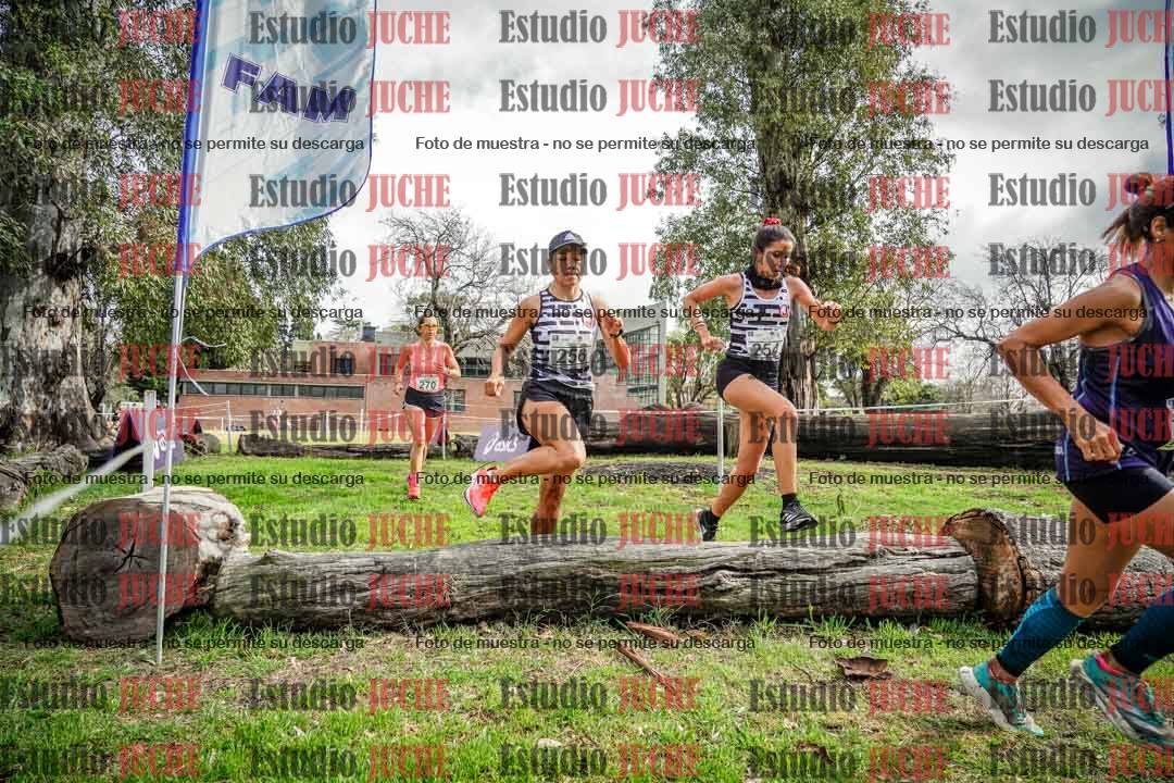 Fotos en el circuito