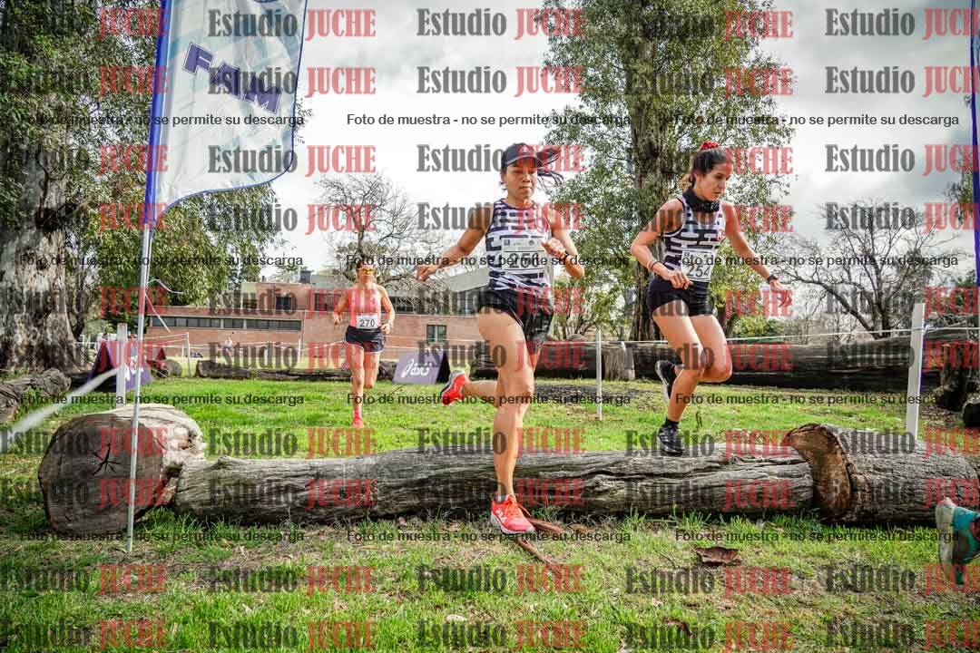 Fotos en el circuito