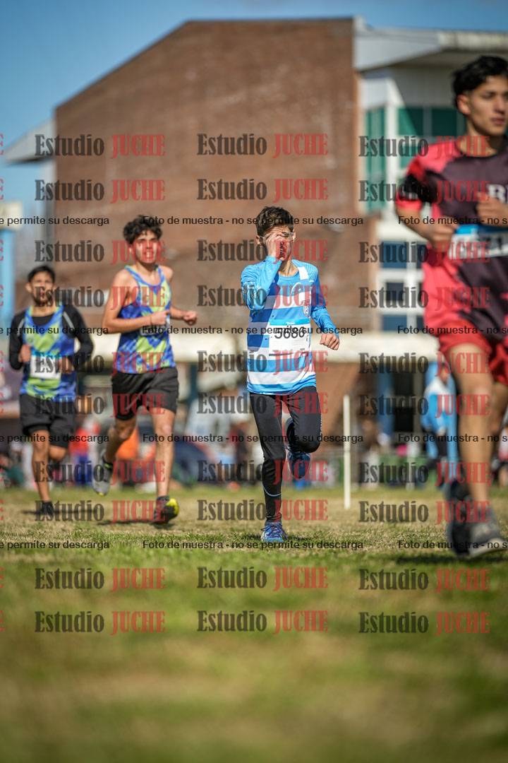 Fotos en el circuito