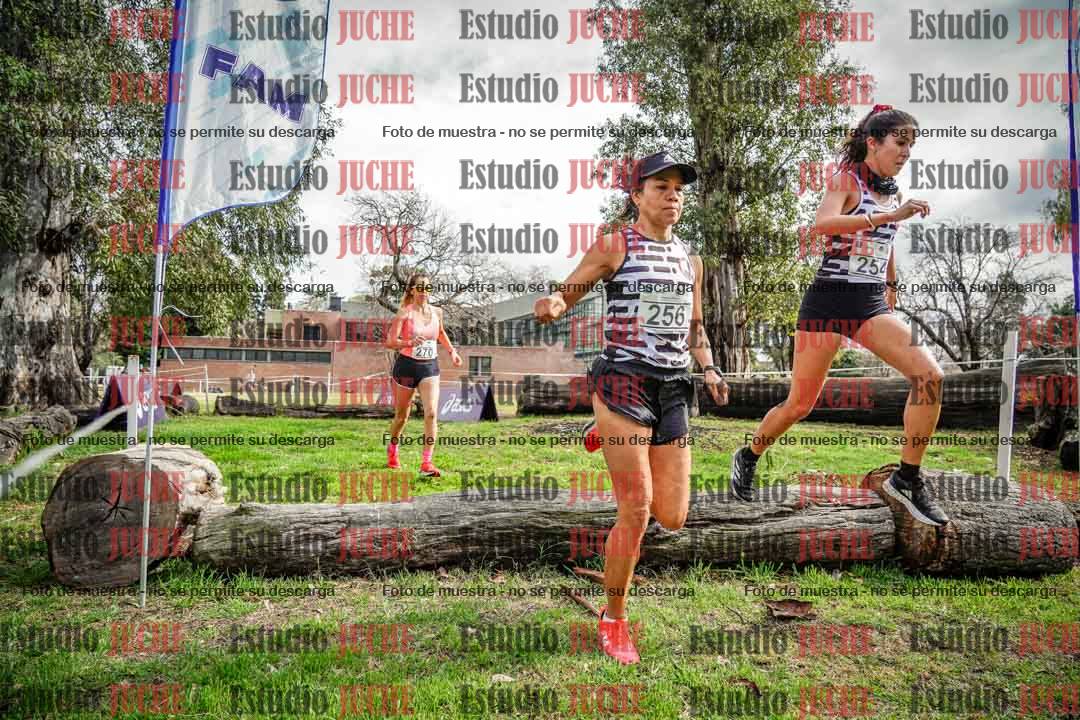 Fotos en el circuito