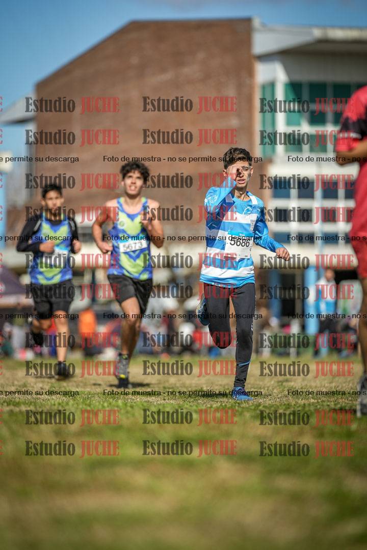 Fotos en el circuito
