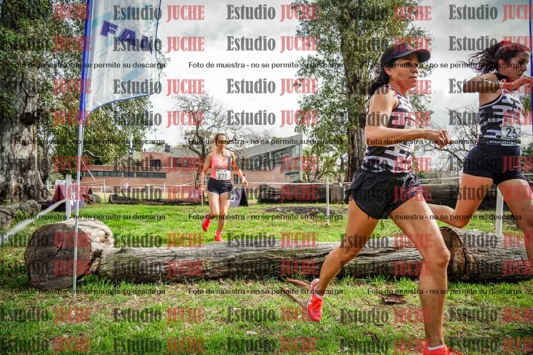 Fotos en el circuito