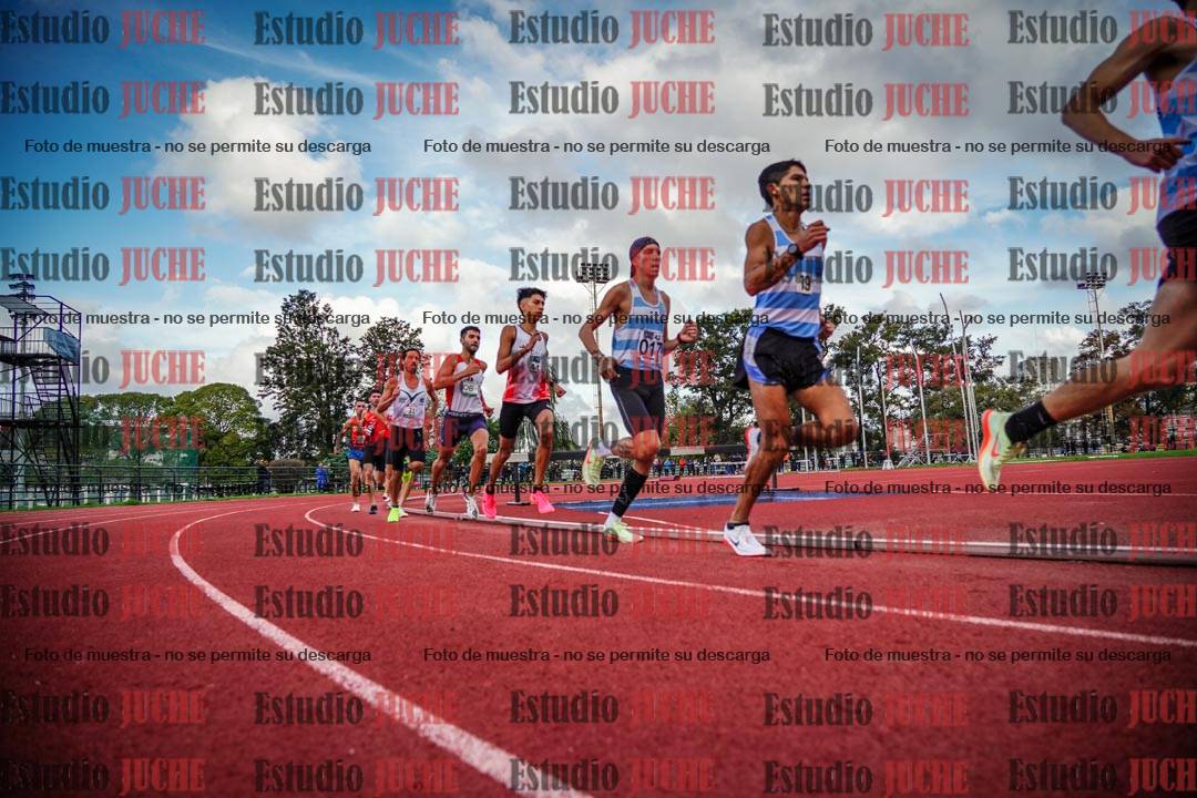 Fotos de los 3000 m llanos de varones