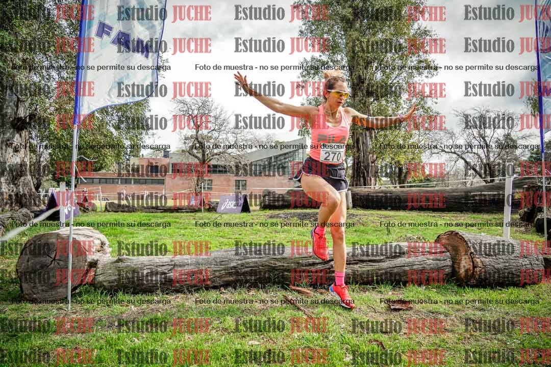 Fotos en el circuito
