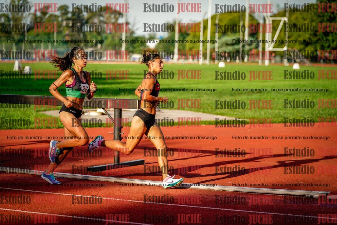 Fotos de los 1500 m llanos de mujeres