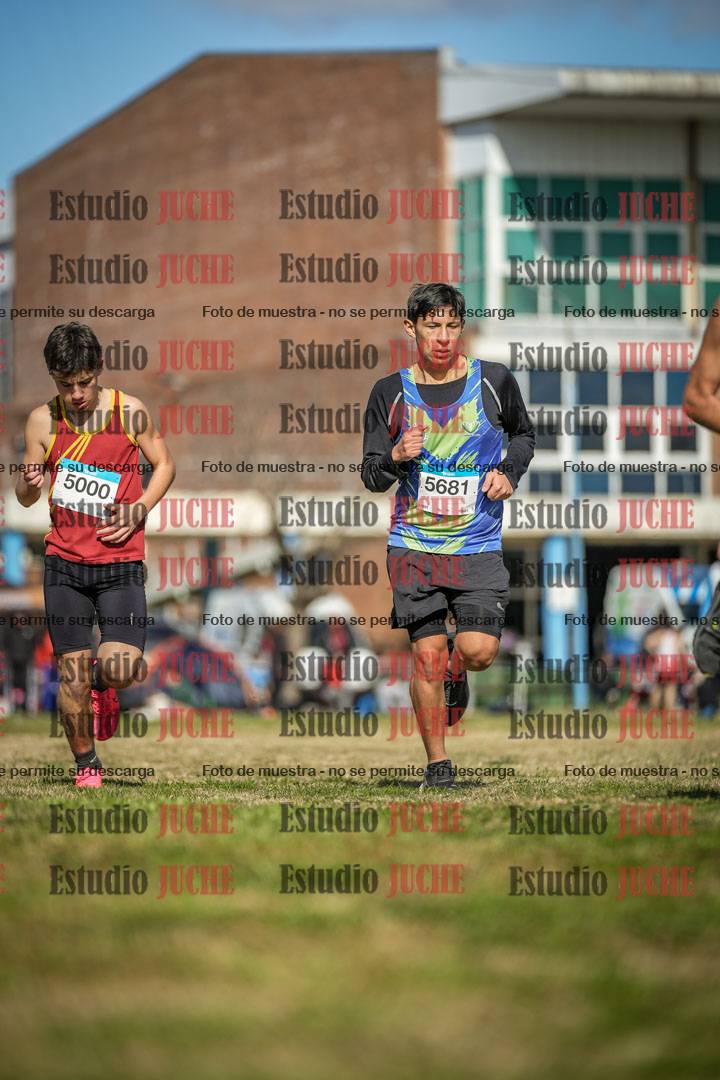 Fotos en el circuito
