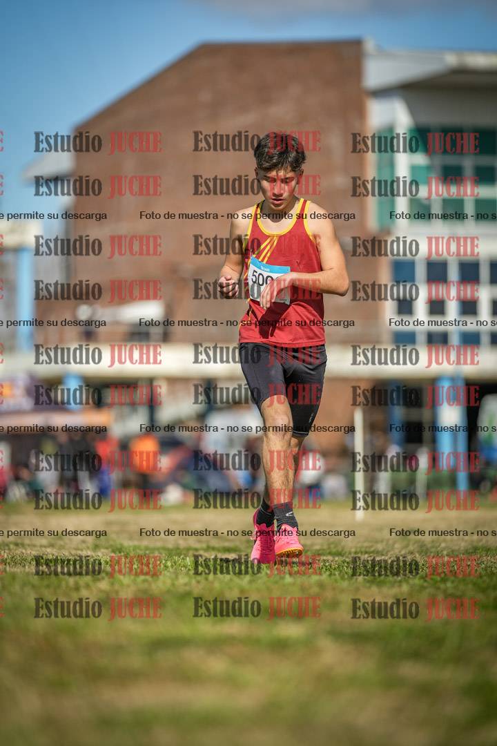 Fotos en el circuito