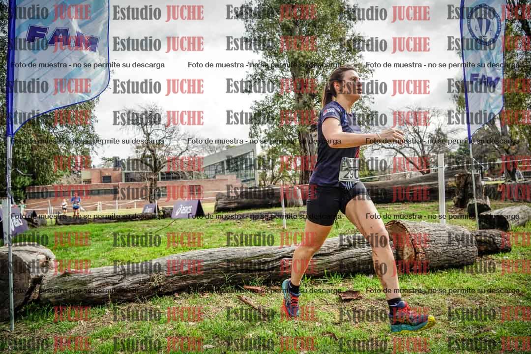 Fotos en el circuito