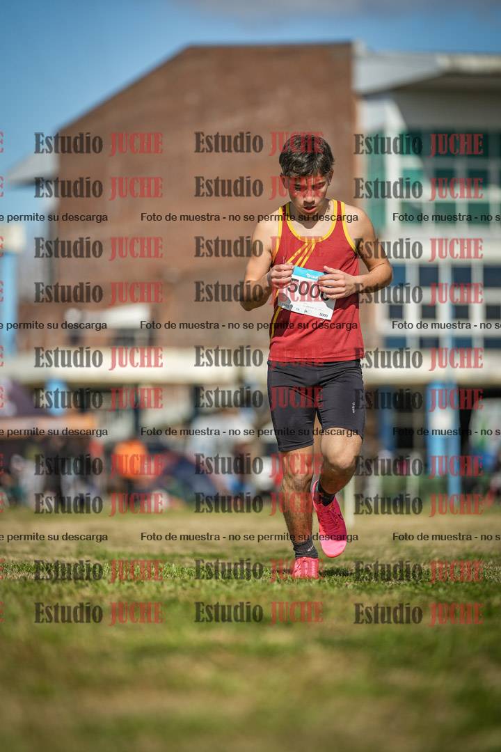 Fotos en el circuito