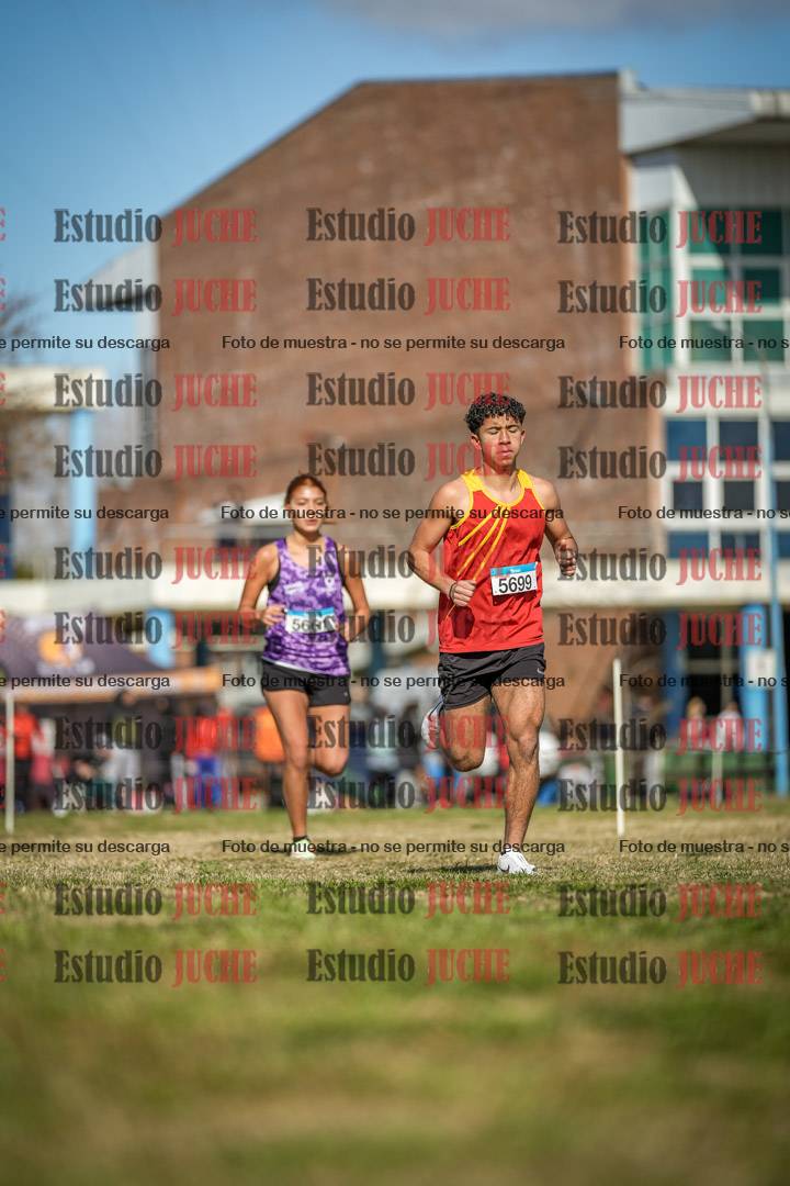 Fotos en el circuito