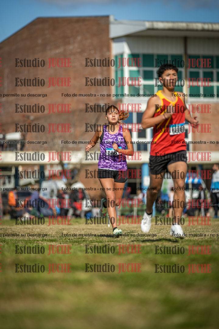 Fotos en el circuito