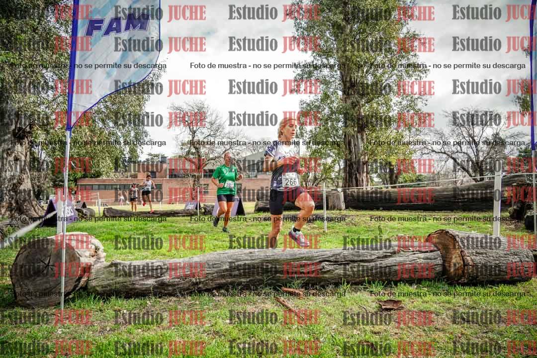 Fotos en el circuito