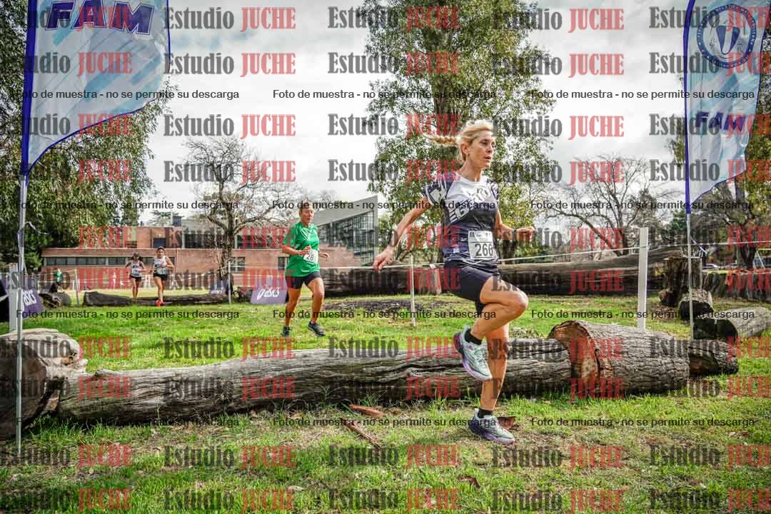 Fotos en el circuito
