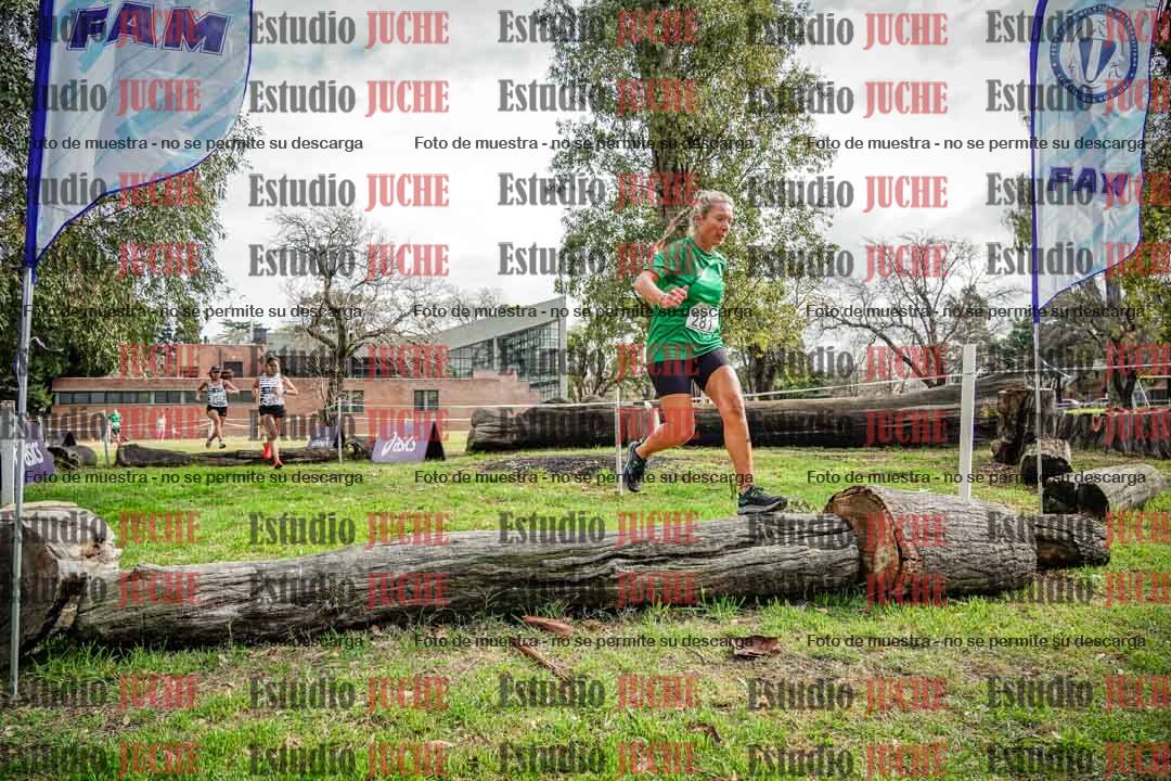 Fotos en el circuito