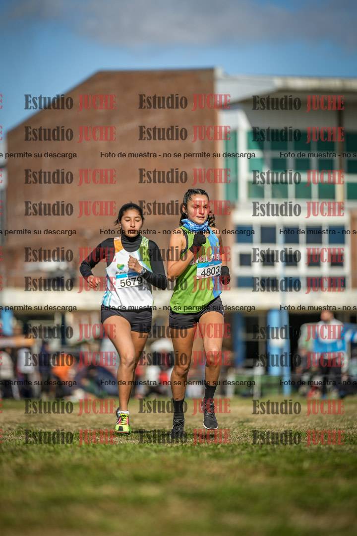 Fotos en el circuito
