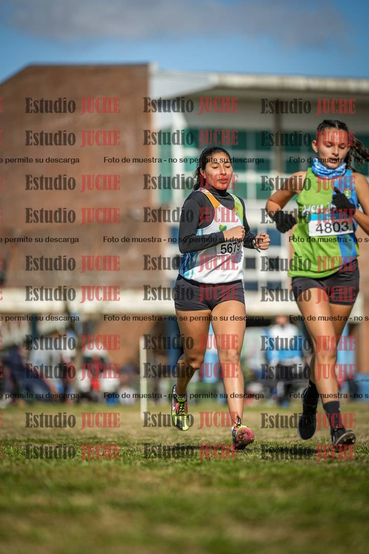 Fotos en el circuito