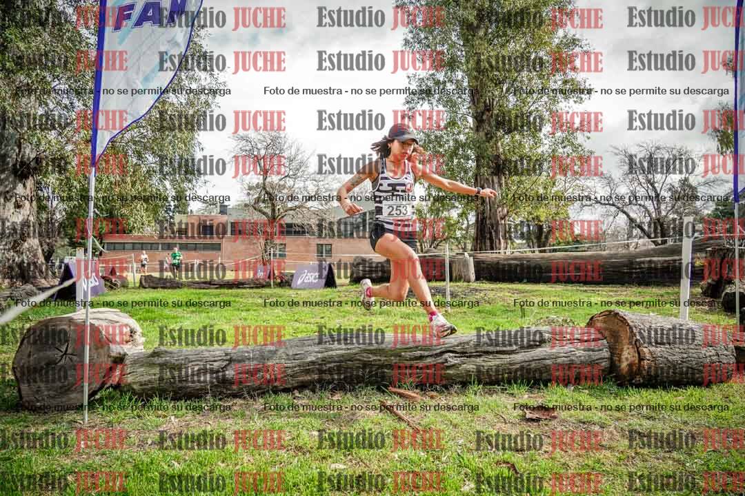 Fotos en el circuito