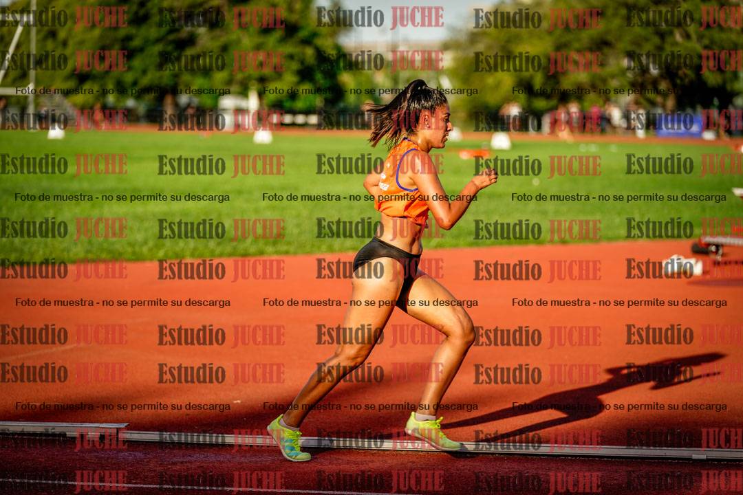 Fotos de los 1500 m llanos de mujeres