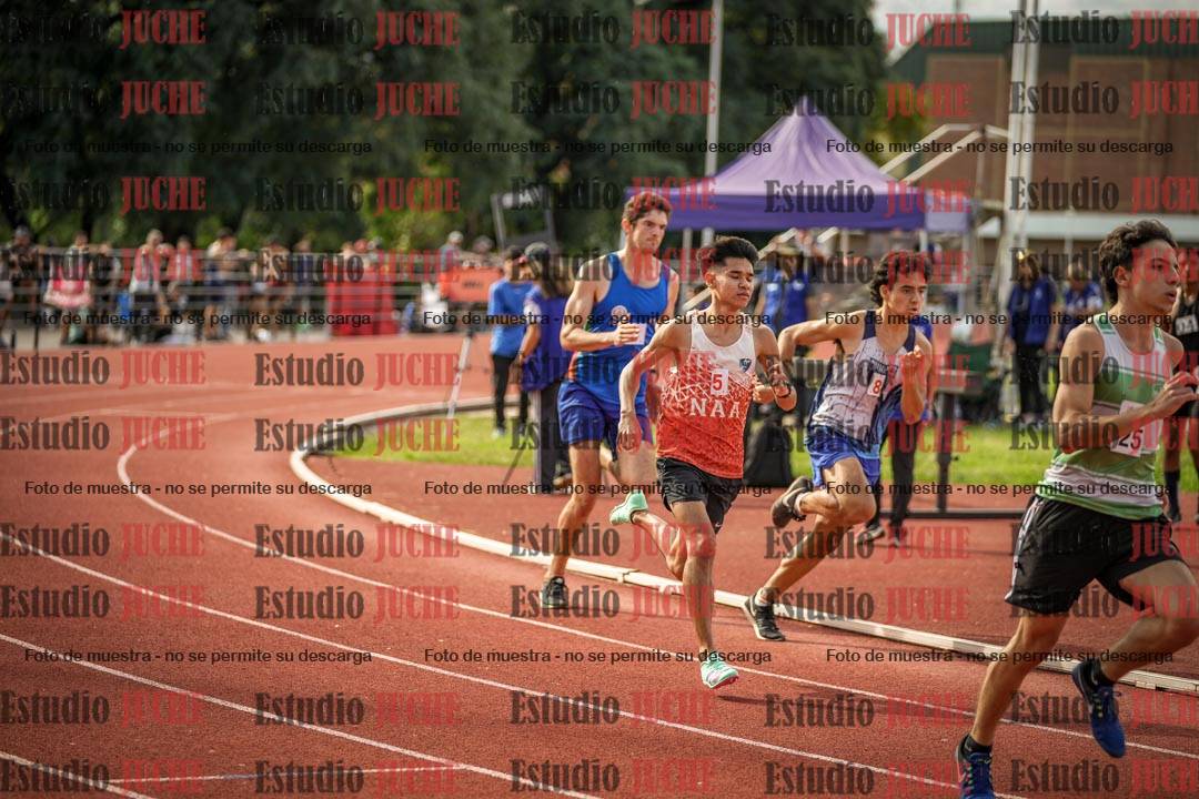 Fotos de los 800 m llanos de varones