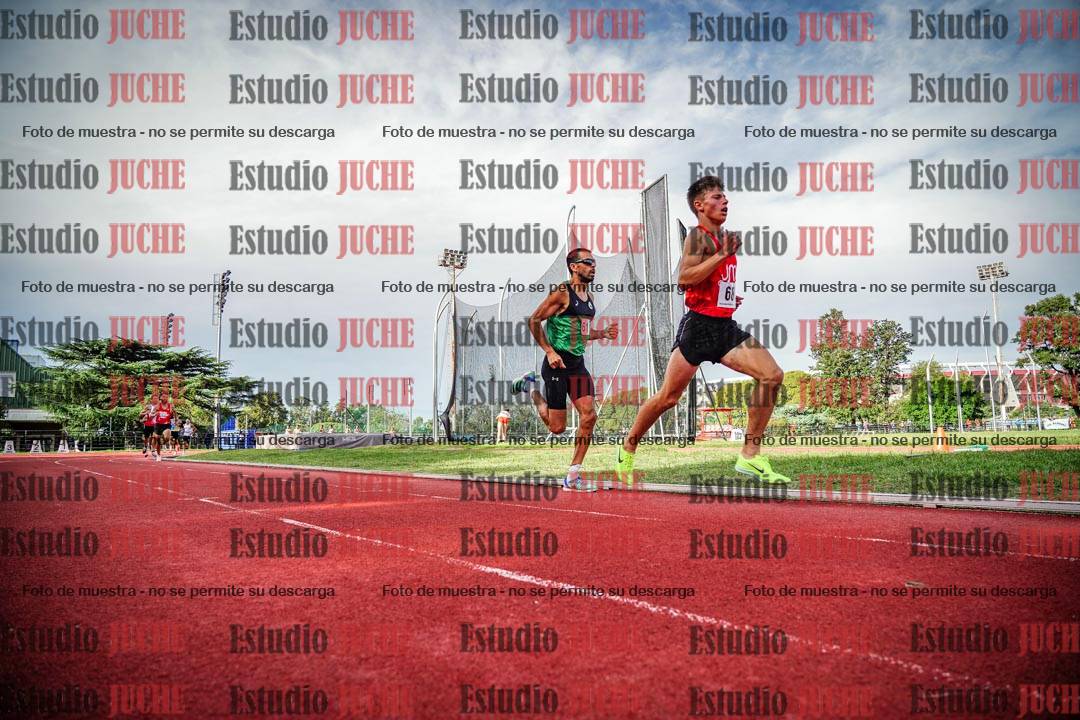 Fotos de los 3000 m llanos de varones