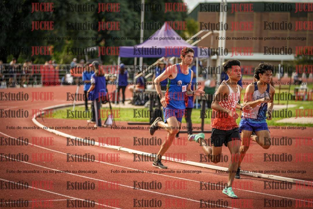 Fotos de los 800 m llanos de varones