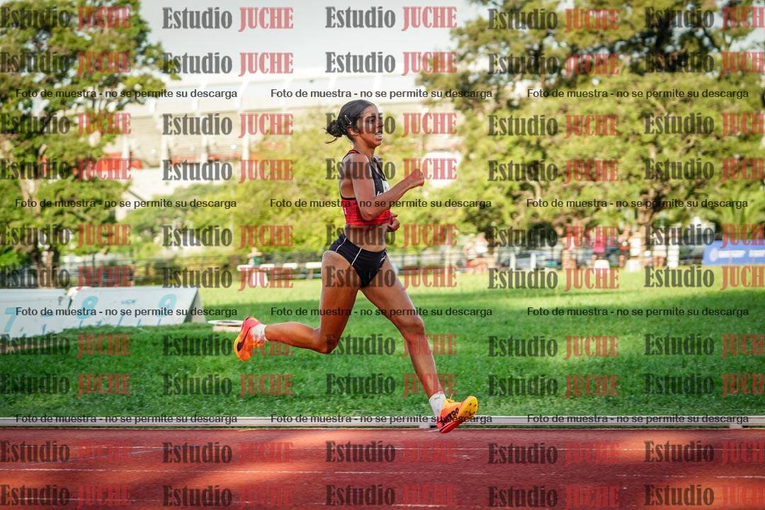 Fotos de los 1500 m llanos de mujeres