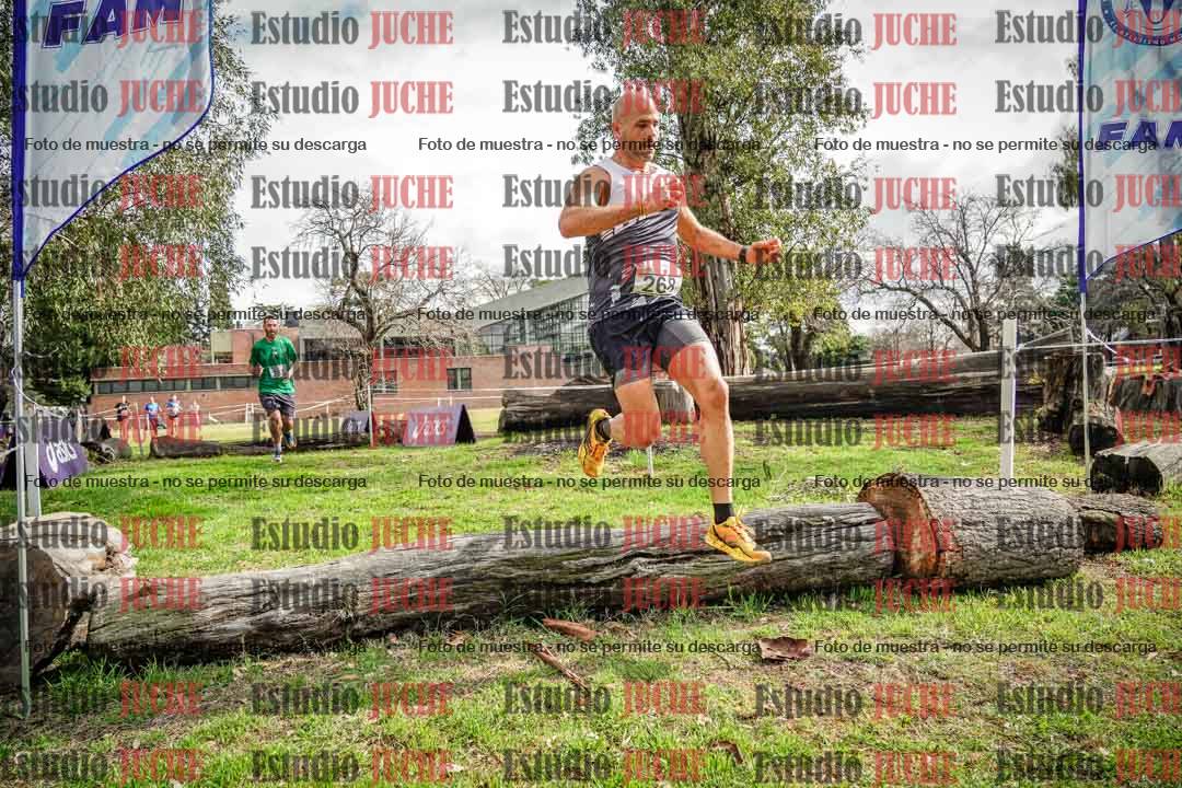 Fotos en el circuito