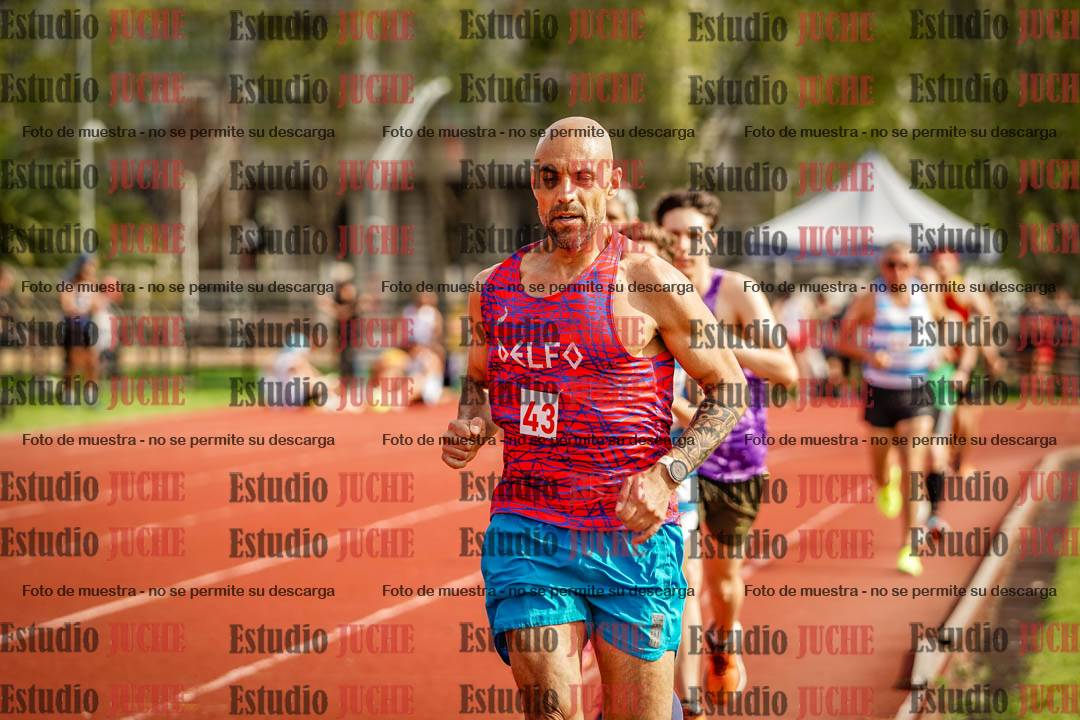Fotos de los 3000 m llanos de varones