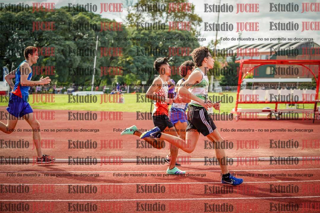 Fotos de los 800 m llanos de varones