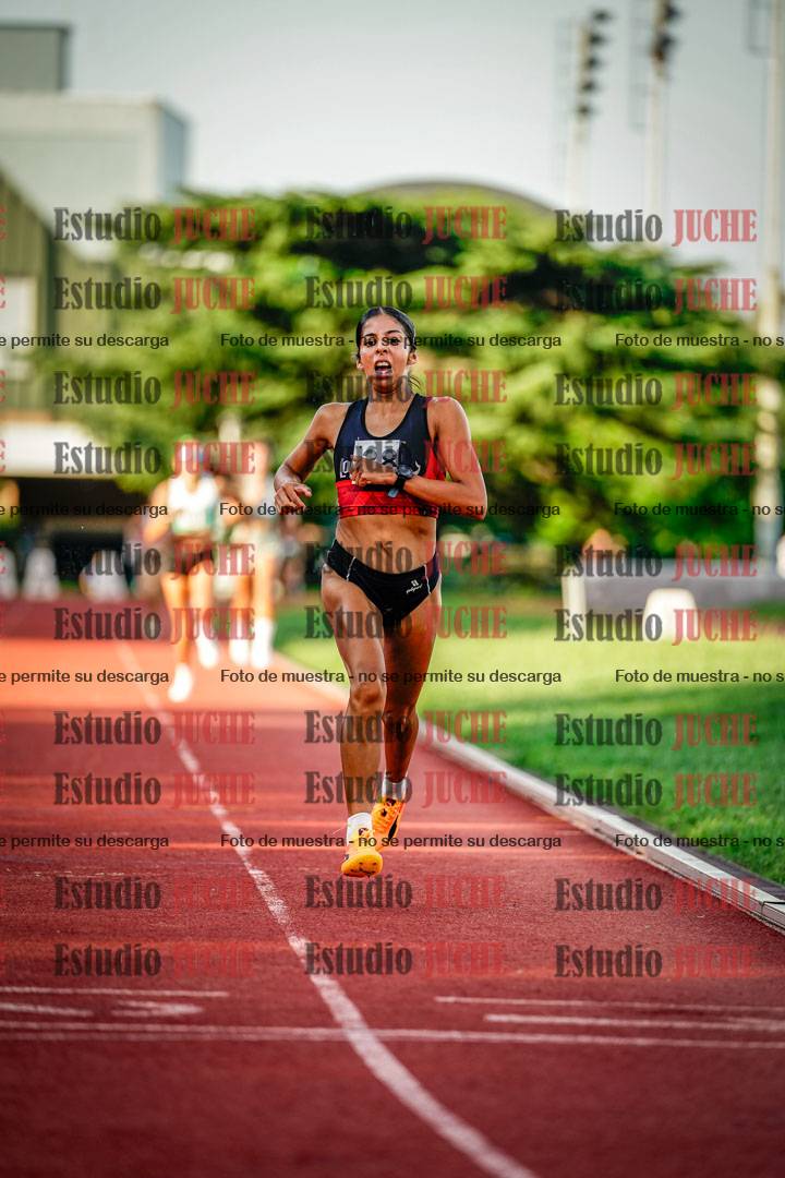 Fotos de los 1500 m llanos de mujeres