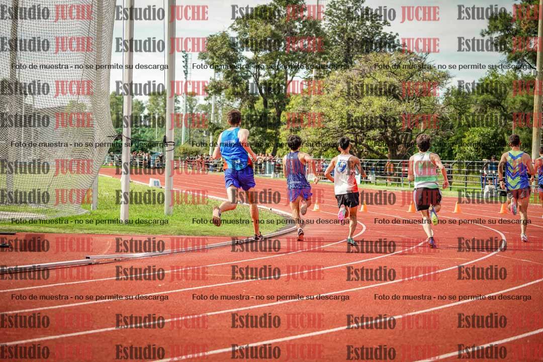 Fotos de los 800 m llanos de varones