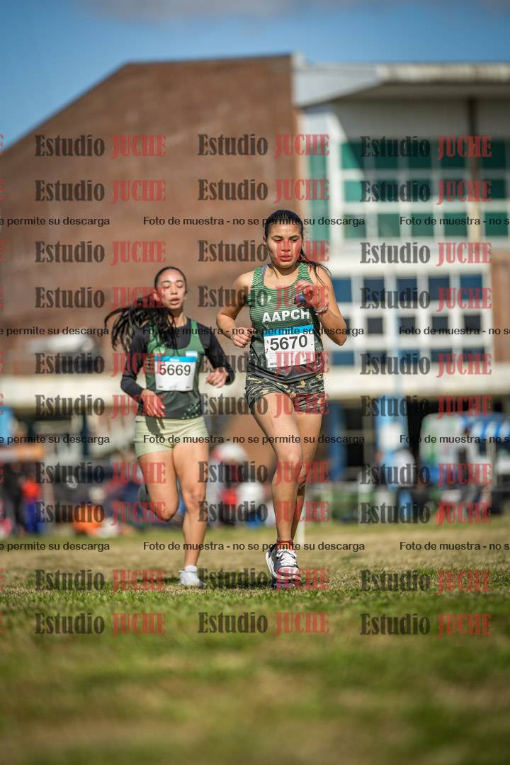 Fotos en el circuito